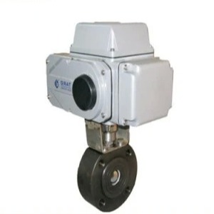 AC220V DN15-250 Tiny Flow Flange connection Electric Control Valve