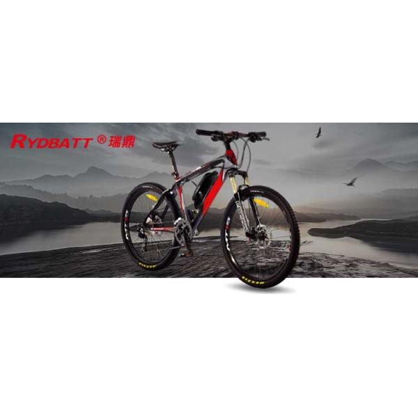 36V 10Ah Electric Bicycle Battery Pack 10S4P Lithium Ion Battery