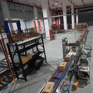 Intelligent Robot Palletizer Automatic Packing Cartons Loading Electric