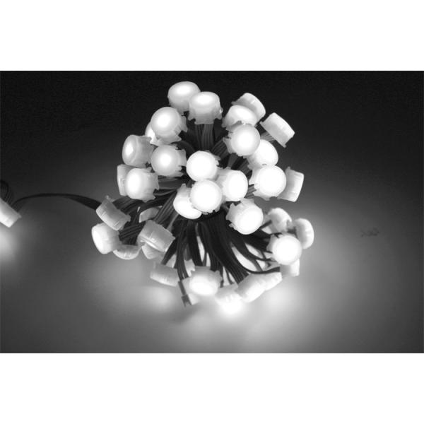 IP67 waterproof outdoor decoration SMD5050 20mm 6LM muticolor LED DMX512 RGBW point light