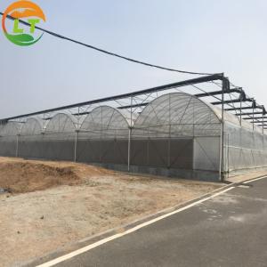 Single Layer Greenhouse Inside Shading System and Plastic Film for Growing