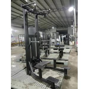 Commercial Gym Equipment Steel Pin Loaded Pull-up Bar and Dipping Machine for