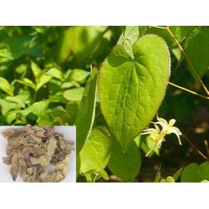 Powder Form Herb Epimedium 20% icariin extract--Herb Epimedium