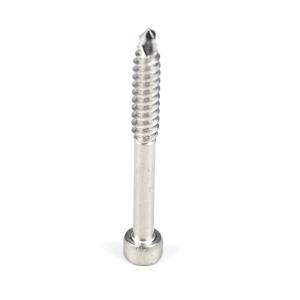 Stainless Steel Cup Fillister Head Torx Self Tapping Screw for Various