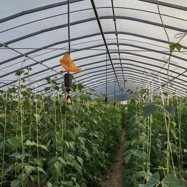 Agriculture Tunnel Greenhouse Kit