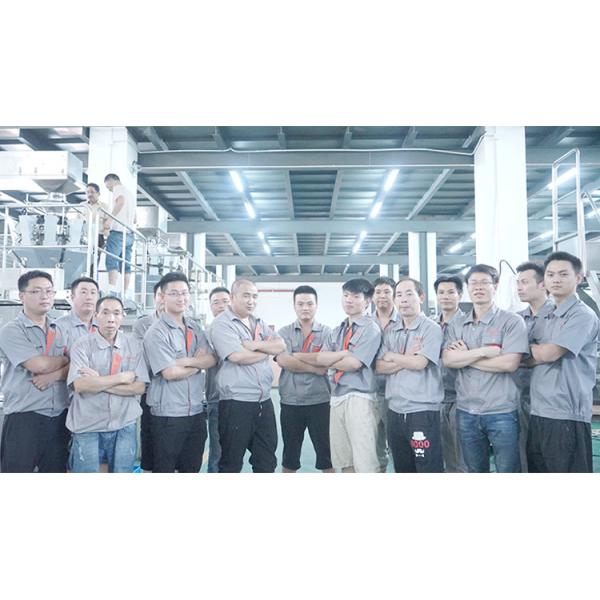 Coffee Powder Packing Pillow Bag Packaging Machine 200g 300g 500g