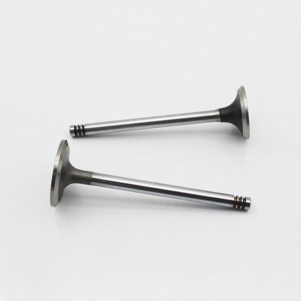 High Quality Manufacturer 20798699 20798533 Diesel Engine D6D D6E Intake Exhaust Valve For Volvo EC160B EC200B EC210B