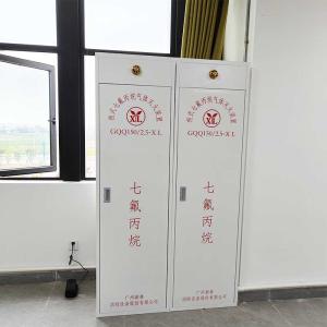 FM200 Gas Suppression System High-Efficiency Clean Agent Fire Protection For