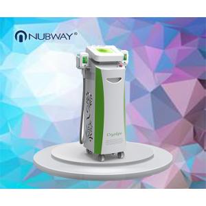 hot sale body slimming machine double heads cryolipolysis body slimming