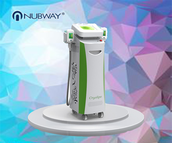 Buy hot sale body slimming machine double heads cryolipolysis body slimming at wholesale prices