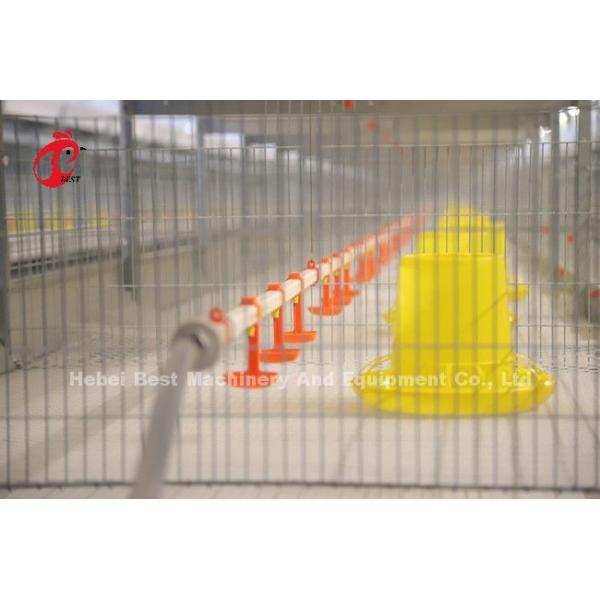 45 Days A H Type Broiler Cage 25 Years Lifespan With Drinkers And Feeders Star