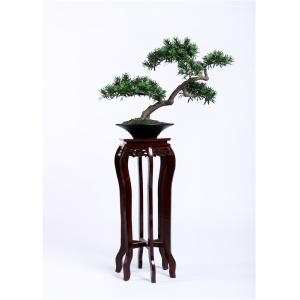 Quality Ornamental Bonsai Pine Tree , Artificial Plants Bonsai Elegant Charming for sale