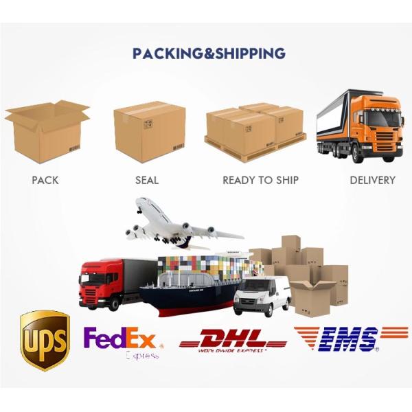 Plastic Handle Pink Nail Beauty Brush 15 pcs Painting Art Brush for Promotion 50g Size