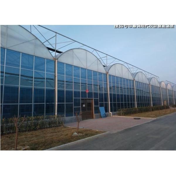Buy Wind Resistance Polycarbonate Solar Panel Greenhouse at wholesale prices