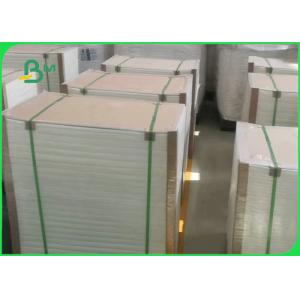 Recyclable 240gsm Stone Paper For Textbooks 64 x 90cm Tear Resistant