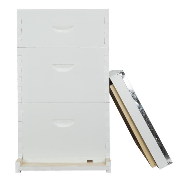 Bee Farm Fir Wood Painted Langstroth Beehive