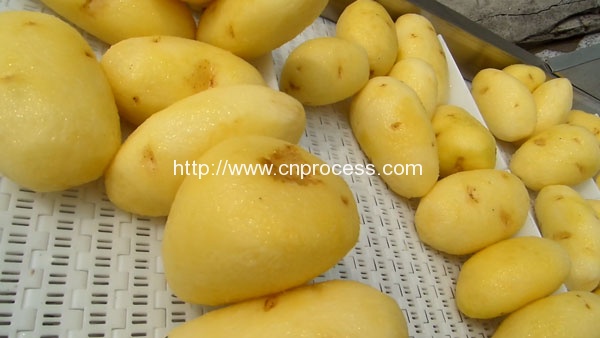 Small Potato Washing & Peeling Machine