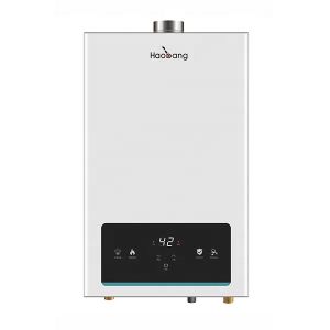 China 12L Tankless Gas Water Heater with Touch Panel Control for Garage and Household Coating Panel Design on sale