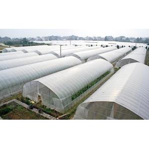 Tunnel Polyethylene Film Greenhouse / Plastic Shed Simple Galvanized Steel Frame