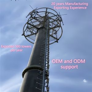 Steel 20 Meter Factories Suppliers Monopole Telecommunication Gsm Communication