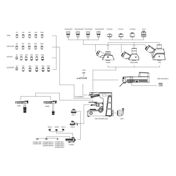 CMOS CCD 20MP Biology Lab Microscope AOP Objective Research Microscope