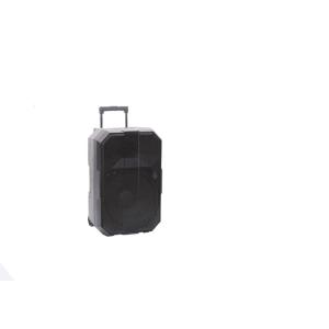 15 Inches Party Rechargeable Trolley Speaker 50W RMS Power 2 Way Type