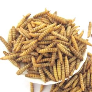 Quality High Protein Black Soldier Fly Powder 8.35KG/bag*2/carton with Packaging for sale