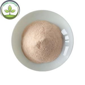 Wholesale Carica Papaya Fruit Juice Powder/Carica Papaya