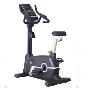 China Befreeman Professional Commercial Use Cardio Exercises Magnetic Upright Exercise Bike on sale