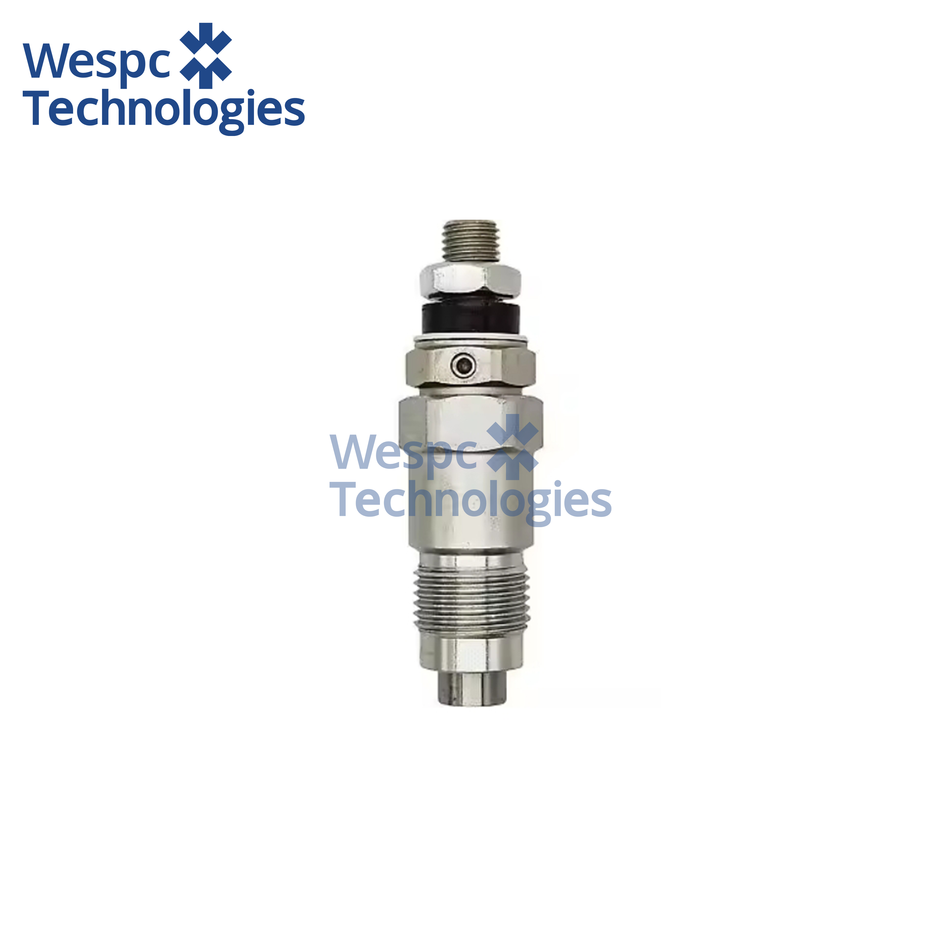 WESPC High Quality Injection Valves Diesel Common Rail Injector 131406340