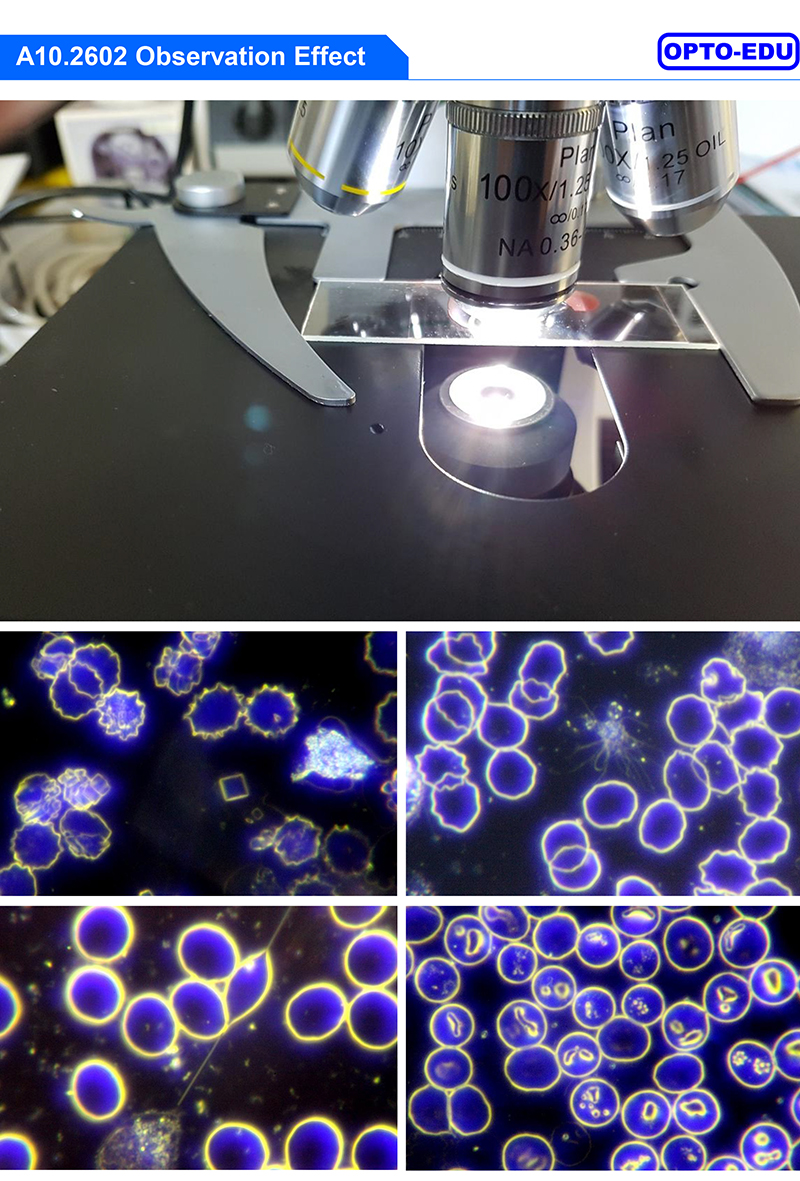 OPTO-EDU A10.2602 Dark Field Microscope with 5W LED Enhanced Illumination and WF10x Eyepiece for Professional Dark Field Condenser Applications