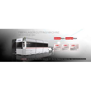 Stainless Steel Laser Metal Cutting Machine Dual Interchangeable Tables Design