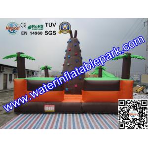 Giant Inflatable Sport Games , Inflatable Climbing Wall 6M x 6M