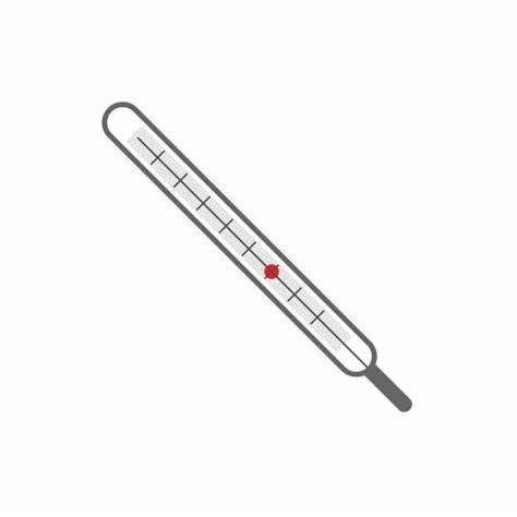 Buy High Sensitive And Accurate Mercury Clinical Thermometer With Convenient Reading at wholesale prices