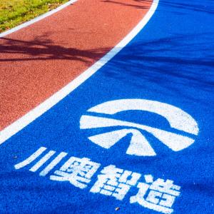 IAAF Certified Prefabricated Running Track Rubber Jogging Track EPDM Particles
