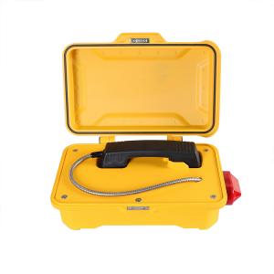 Ringdown Industrial Weather Resistant Telephone IP66-IP67 With Flashing Warning