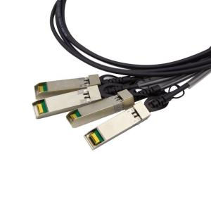 02310LKM LS6MS10S0100 SFP+ active high speed cable (1000cm with 2 stacked