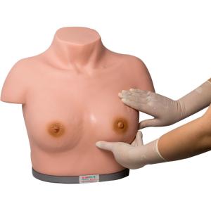 Quality PVC Breast Examination Simulator Inspection Palpation for sale