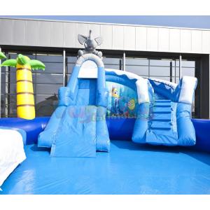 Amusement Park Inflatable Water Slide Pool Customized Size