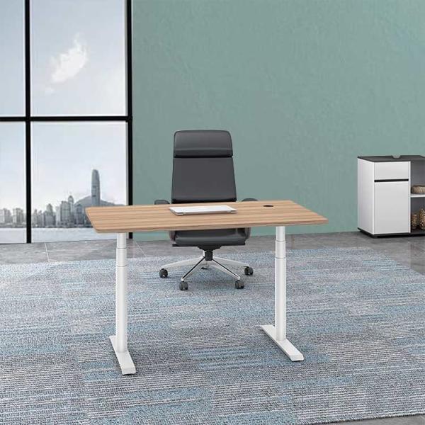 Automatic Lifting Office Height Adjustable Desk Wooden Electric Standing Lift