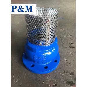 DN100 PN16 GGG50 cast iron flanged foot valve