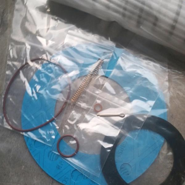 Buy Gardner Denver 308EAY6013 Minimum Pressure Valve Repair Kit at wholesale prices