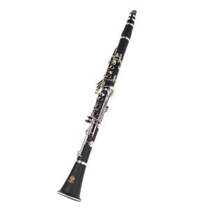 constansa instrumentProfessional Performance Level Ebony Wood Silver Plated 18