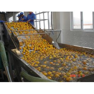 SUS304 10TPH Fruit Vegetable Washing Machine Stepless Shift