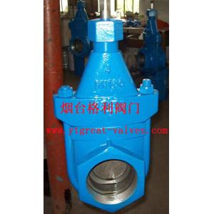 cast iron clip gate valve