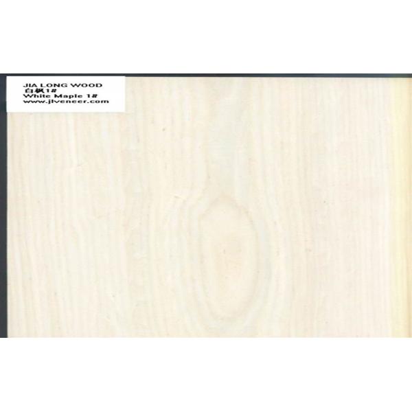 Buy Maple Engineered Wood Veneer at wholesale prices