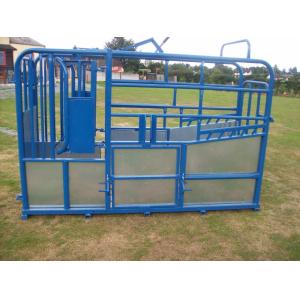 Australia standard galvanized cattle panel fence Cattle Crush,Cattle Chute