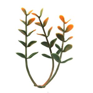 Foliage Artificial Grass Garden Wall 50X50cm 30mm