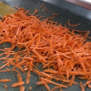 Electric Carrot Peeling Machine Vegetable Processing Equipment
