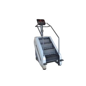 Aerobic Metabolism Gym Stair Climber Machine 220V For Rehabilitation